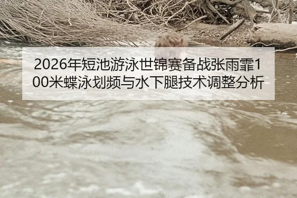 nian-duan-chi-you-yong-shi-jin-sai-bei-zhan-zhang-yu-fei-mi-die-yong-hua-pin-yu-shui-xia-tui-ji-shu-tiao-zheng-fen-xi-2-766.jpg
