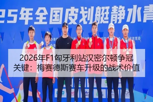 nian-xiong-ya-li-zhan-han-mi-er-dun-zheng-guan-guan-jian-mei-sai-de-si-sai-che-sheng-ji-de-zhan-shu-jia-zhi-2-131.jpg